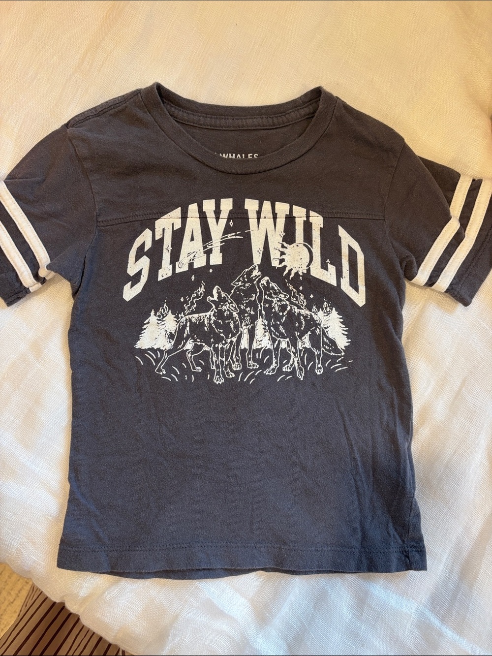 Stay Wild Graphic Tee for Kids - Grey